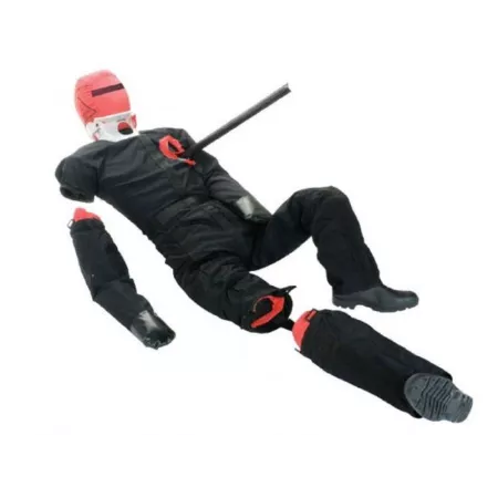Mannequin multi-trauma